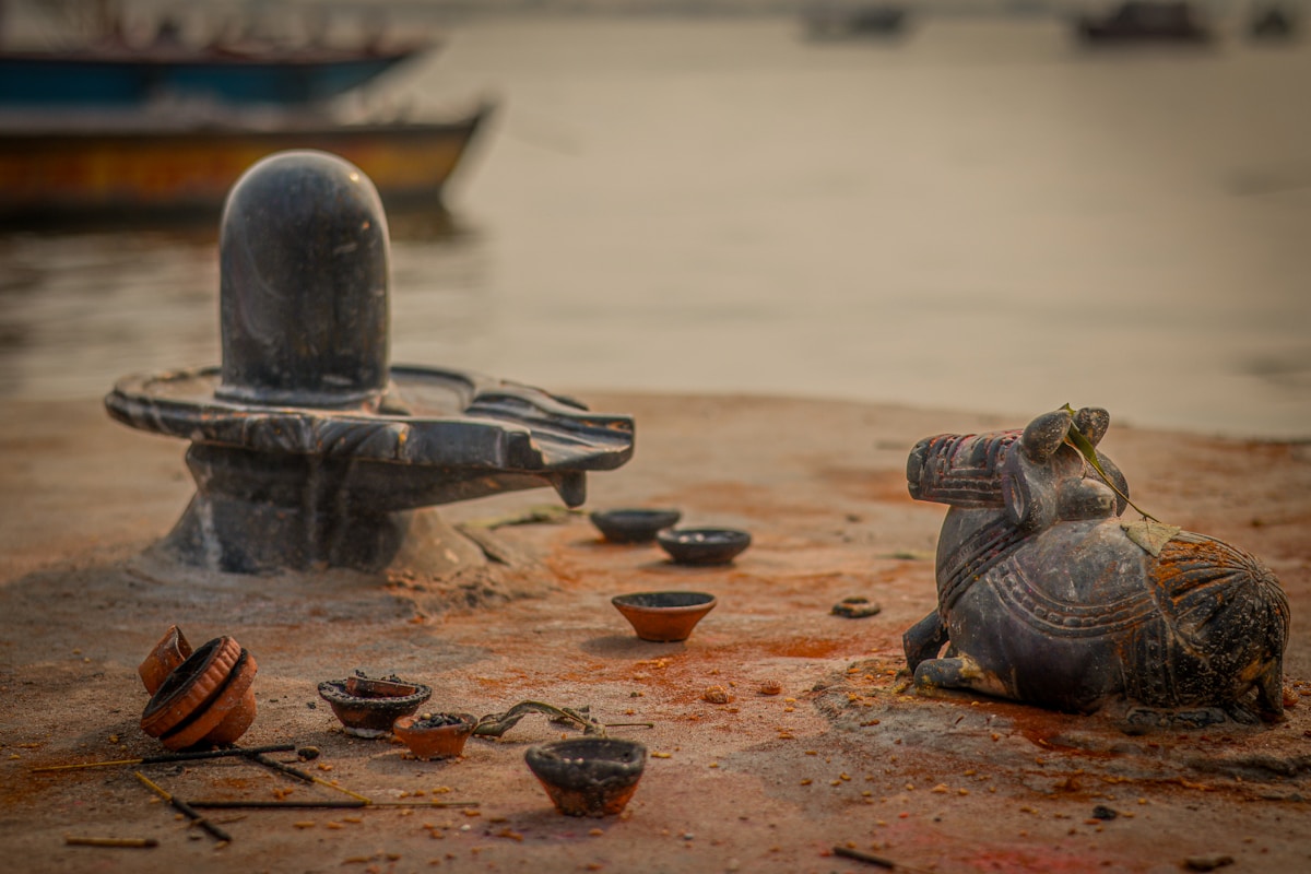 Sacred turtle sculpture in a serene water setting